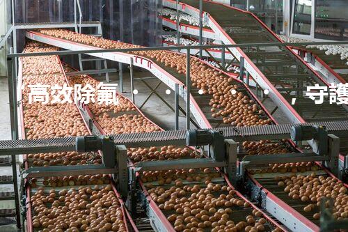 “高效除氟，守護(hù)碧水藍(lán)天——廢水中氟離子處理新篇章”